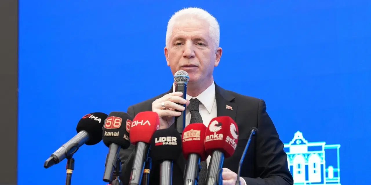 İstanbul Valisi Davut Gül'den belediyelere 'sokak köpekleri' uyarısı: 'Derhal ve eksiksiz yerine getirin'