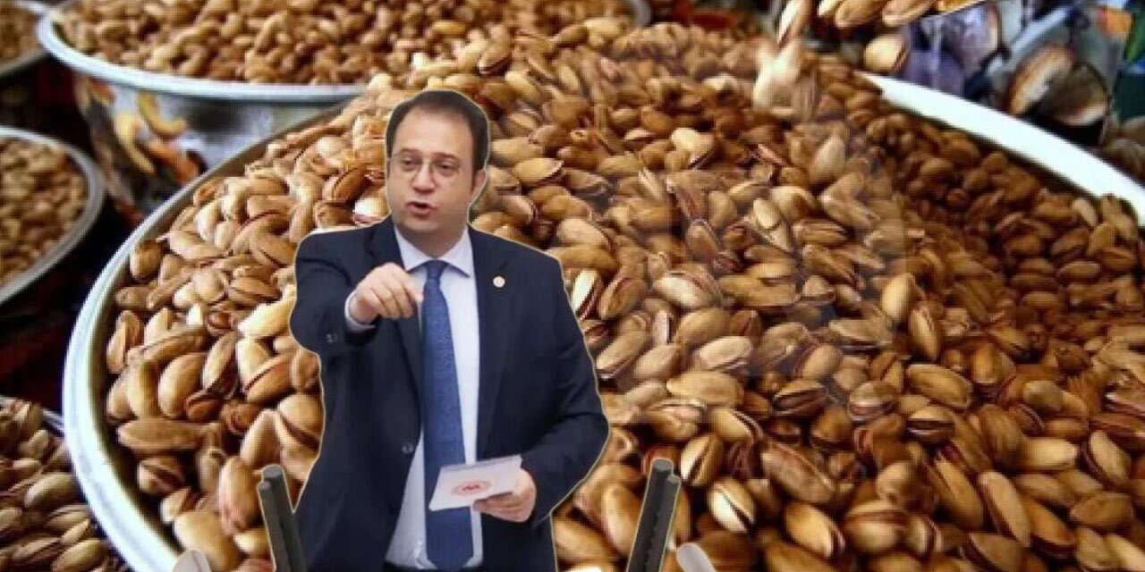 CHP Milletvekili İnan Akgün Alp’den ‘200 milyonluk fıstık’ tepkisi