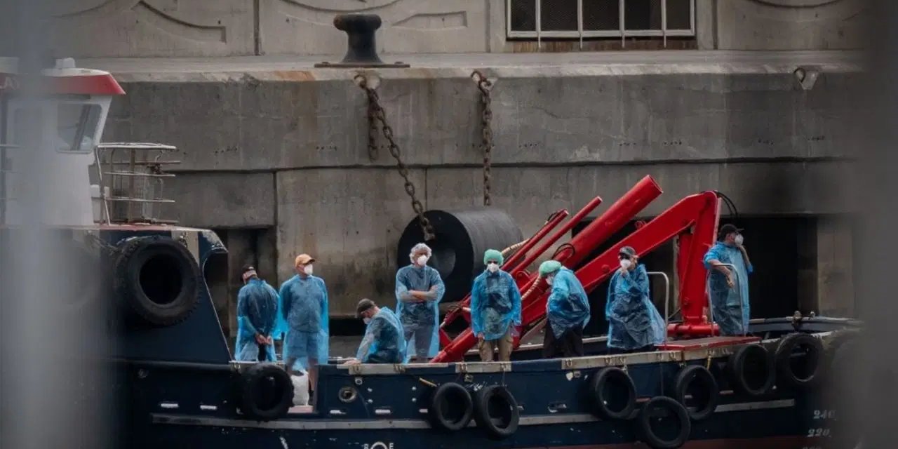 DSÖ'den korkutan virüs açıklaması: Hantavirüs için küresel risk ne?