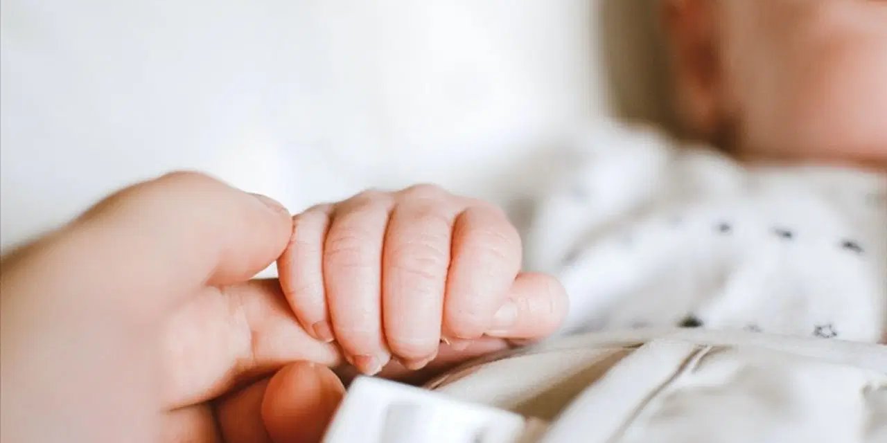 TÜİK doğum istatistiklerini yayımladı: Eğitim seviyesi arttıkça çocuk sayısı düşüyor