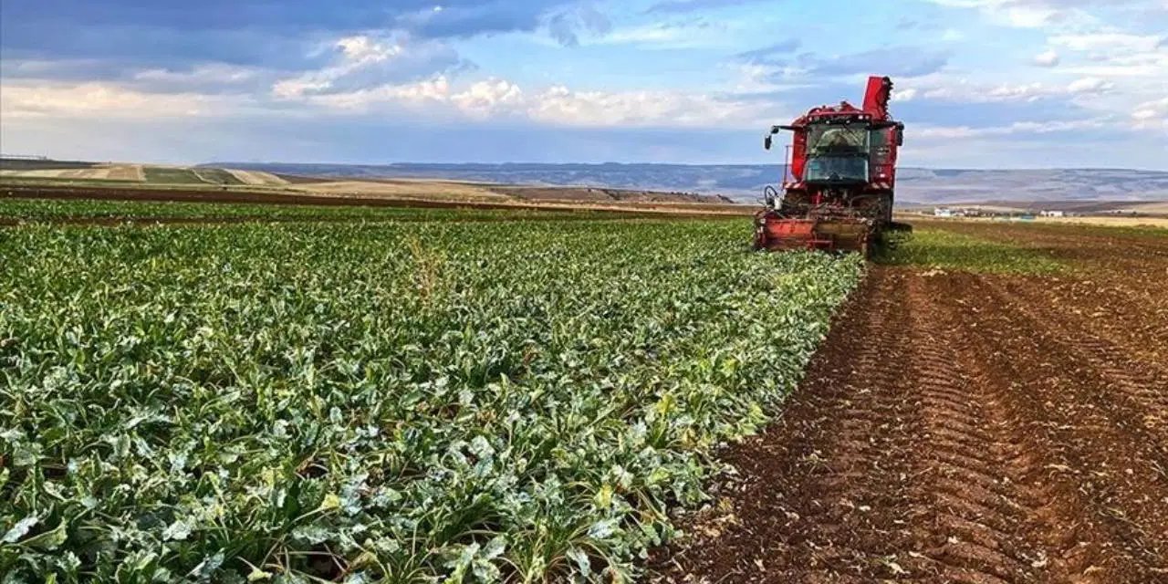 Tokat’ta sel ve dolu çiftçiyi vurdu: ‘Tüm olanaklarımızla çiftçimizin yanındayız’