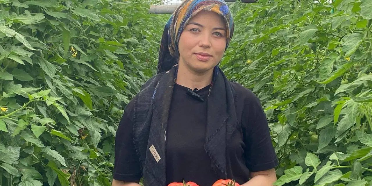 Antakya’nın kırmızı altını komşu illeri beslemek için yola çıktı: Kilosu 60 TL