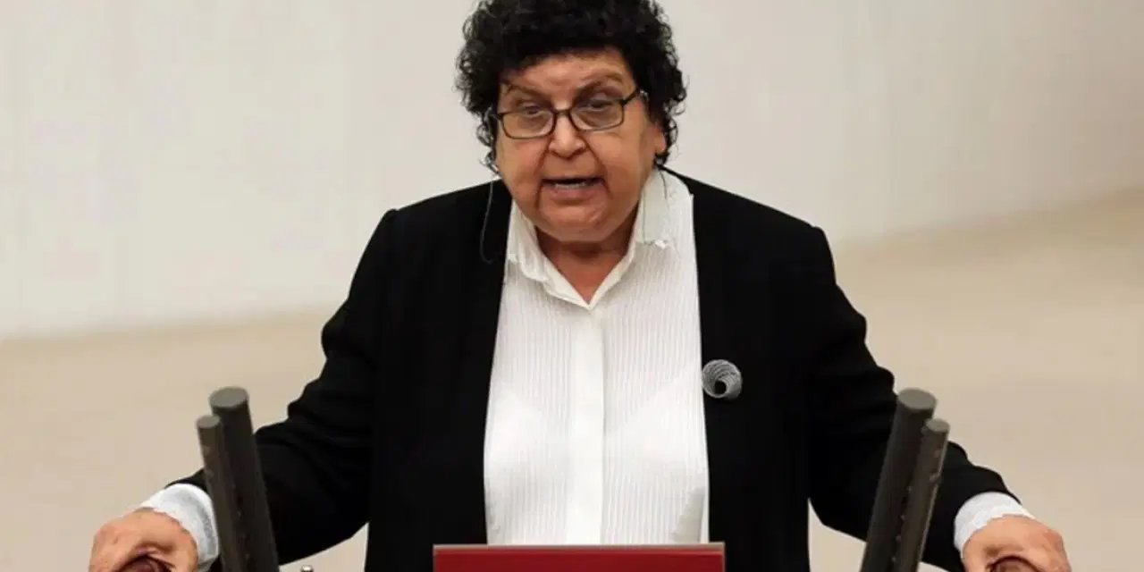 CHP'deki görevinden azledilen Sarıhan: 'Benim için demokrasi madalyasıdır'