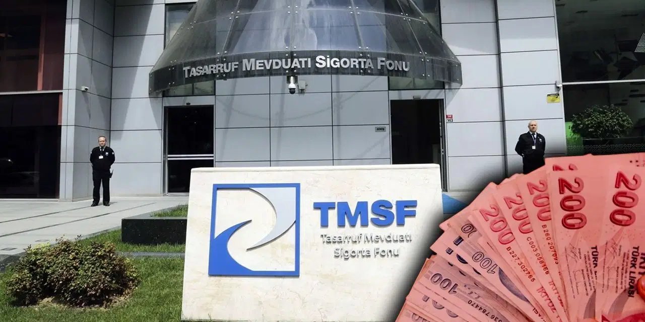 TMSF, Assan Group'u satışa çıkardı: Fiyat belli oldu