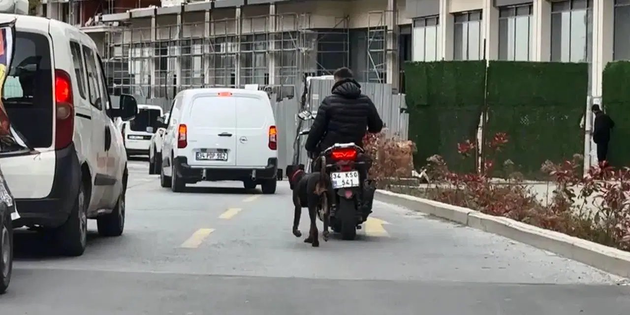 İstanbul’da köpeği bağlayarak motosikletle koşturdu, para cezasıyla kurtuldu