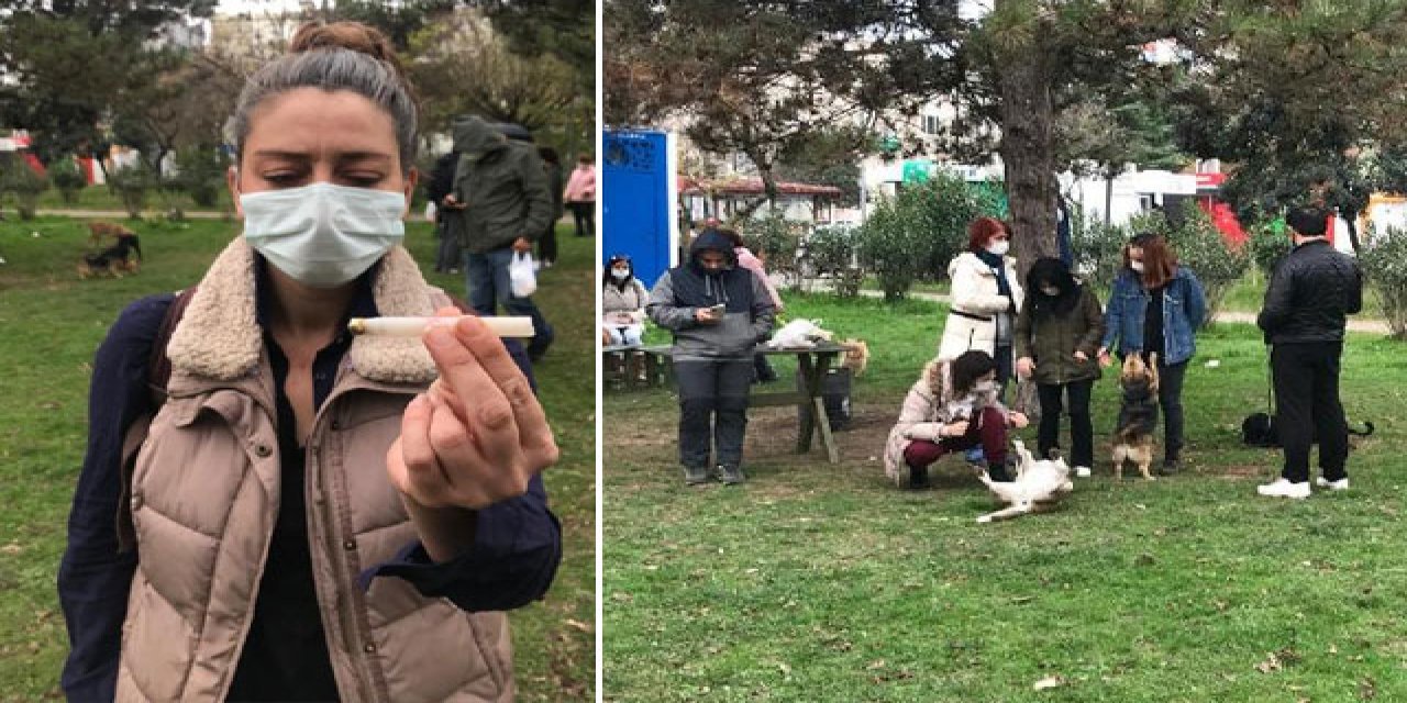 Böyle vahşet görülmedi...Köpekleri uyuşturucu iğne ile öldürdüler...