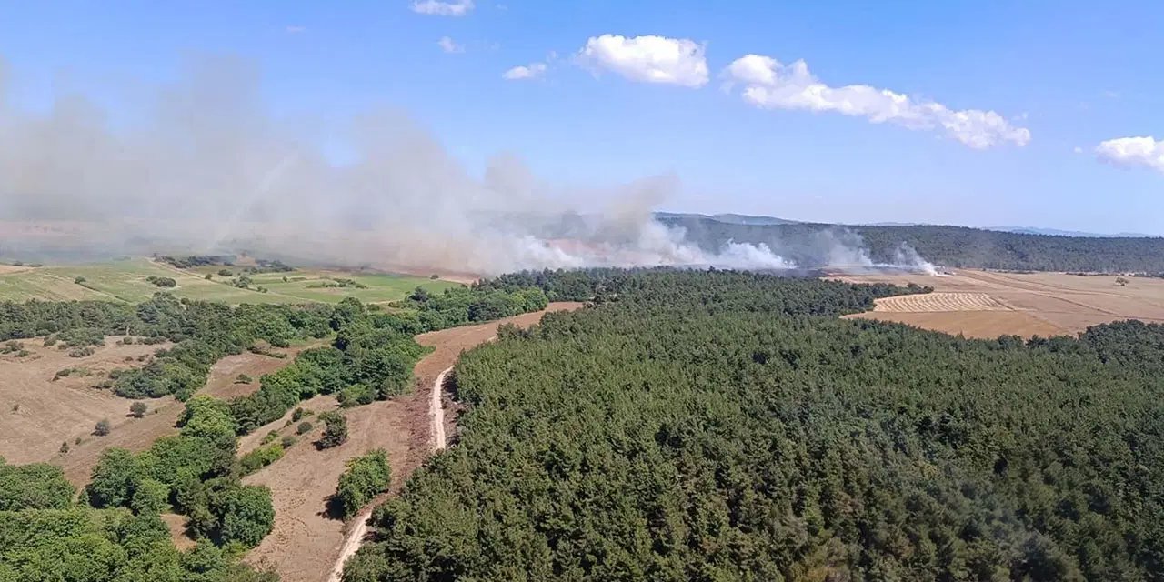 Çanakkale'de orman yangını
