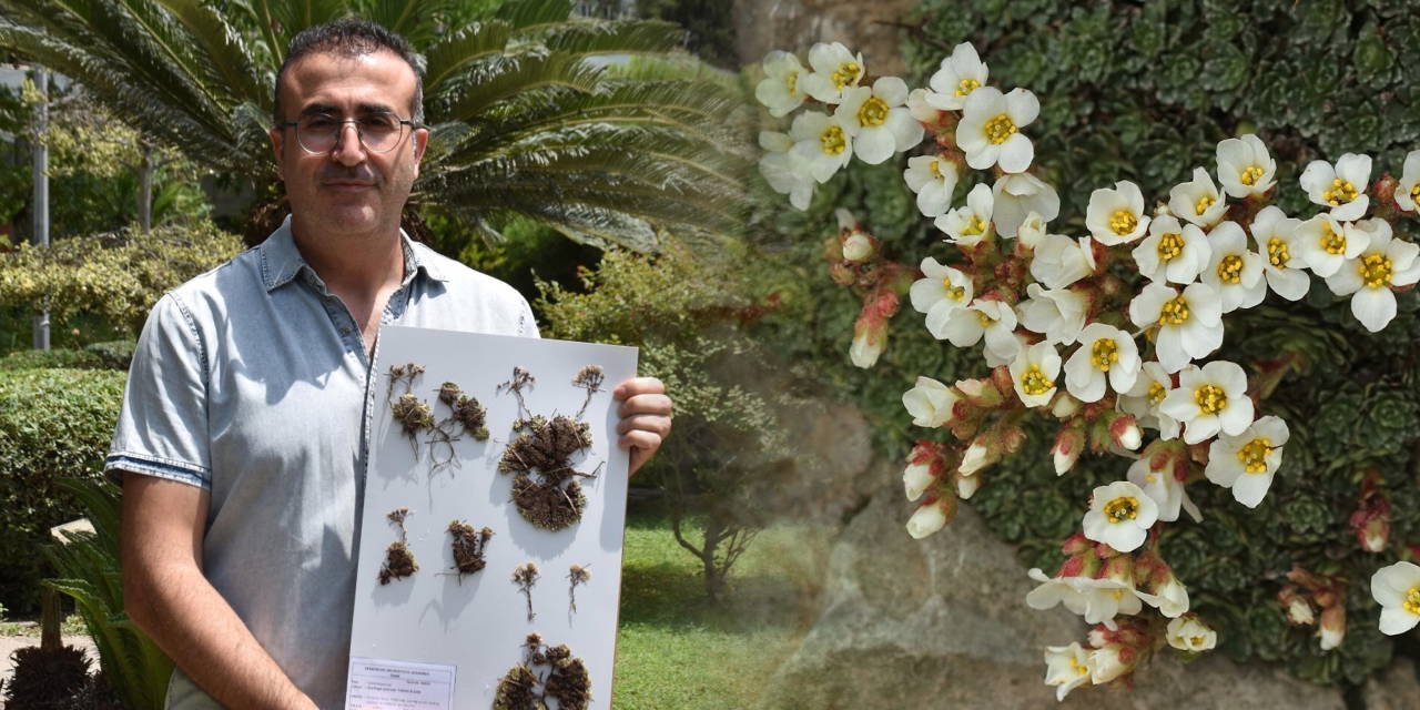 Keşfettiği bitki türüne eşinin adını verdi