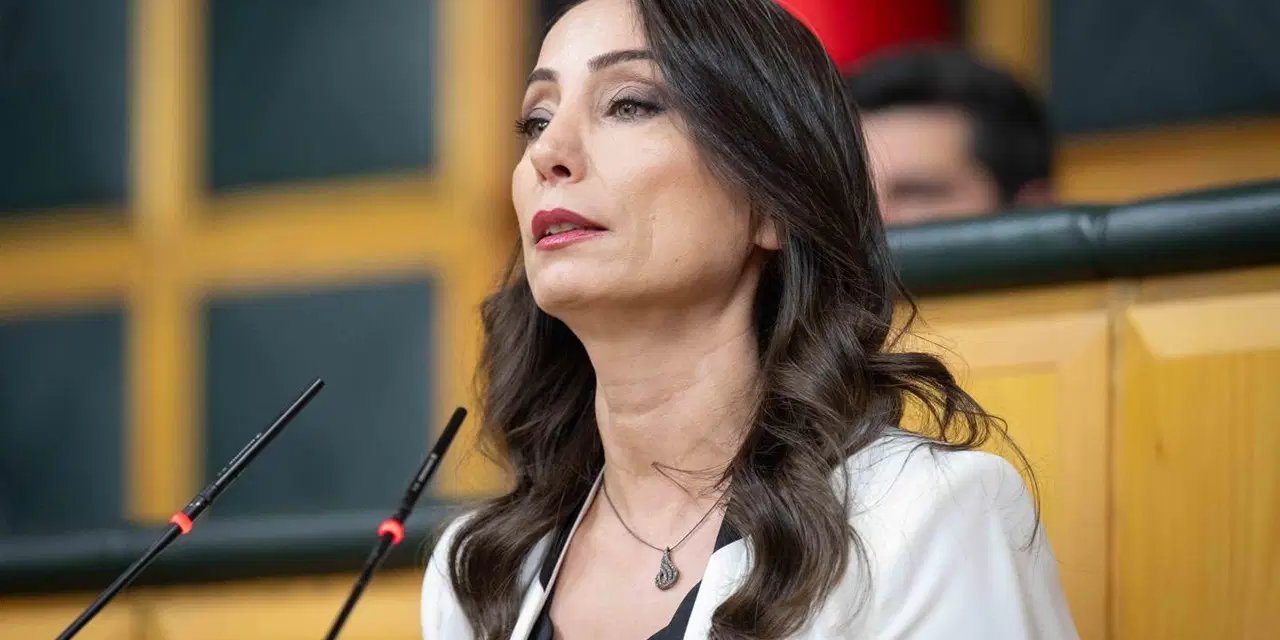 Hatimoğulları'ndan dikkat çeken 'çerçeve yasa' çıkışı