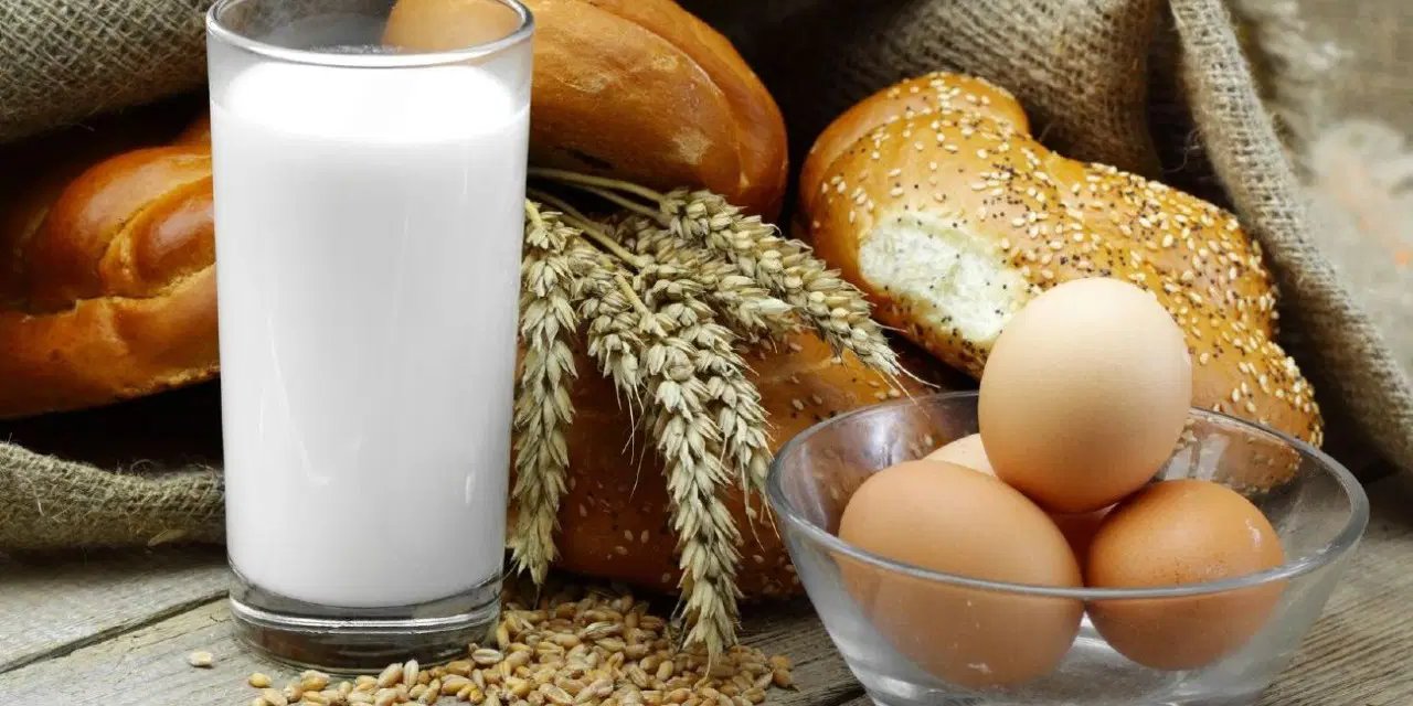 TÜİK mayıs bilançosunu açıkladı: Tavuk eti üretimi çakıldı, yumurta rekor kırdı