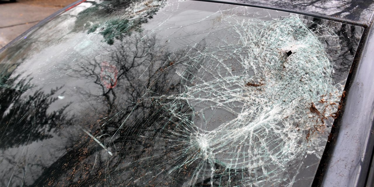 Edirne'de seyir halindeki otomobilin üzerine ağaç devrildi