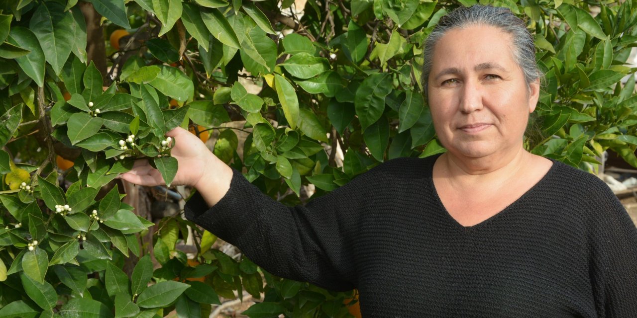 'Yalancı bahar'a aldanan badem ağaçları çiçek açtı
