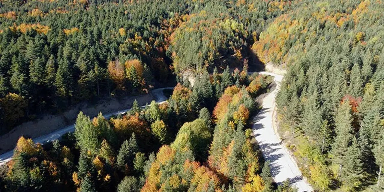Bolu'da kritik uyarı: Orman yangını riski artıyor