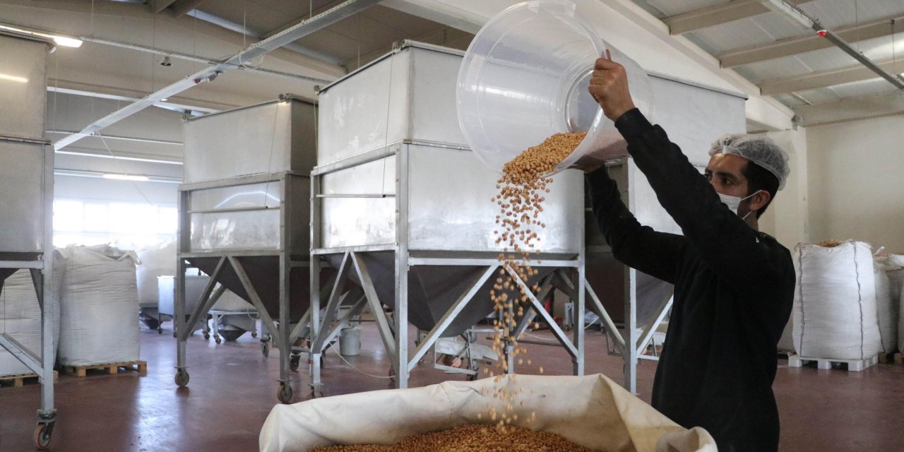 Yılbaşı öncesi kuru yemişte yüzde 400 talep patlaması