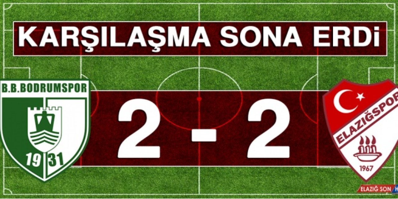 Bodrumspor - Tetiş Yapı Elazığspor: 2-2