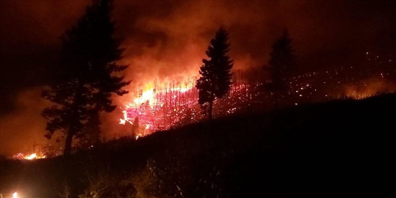 Trabzon'da örtü yangını