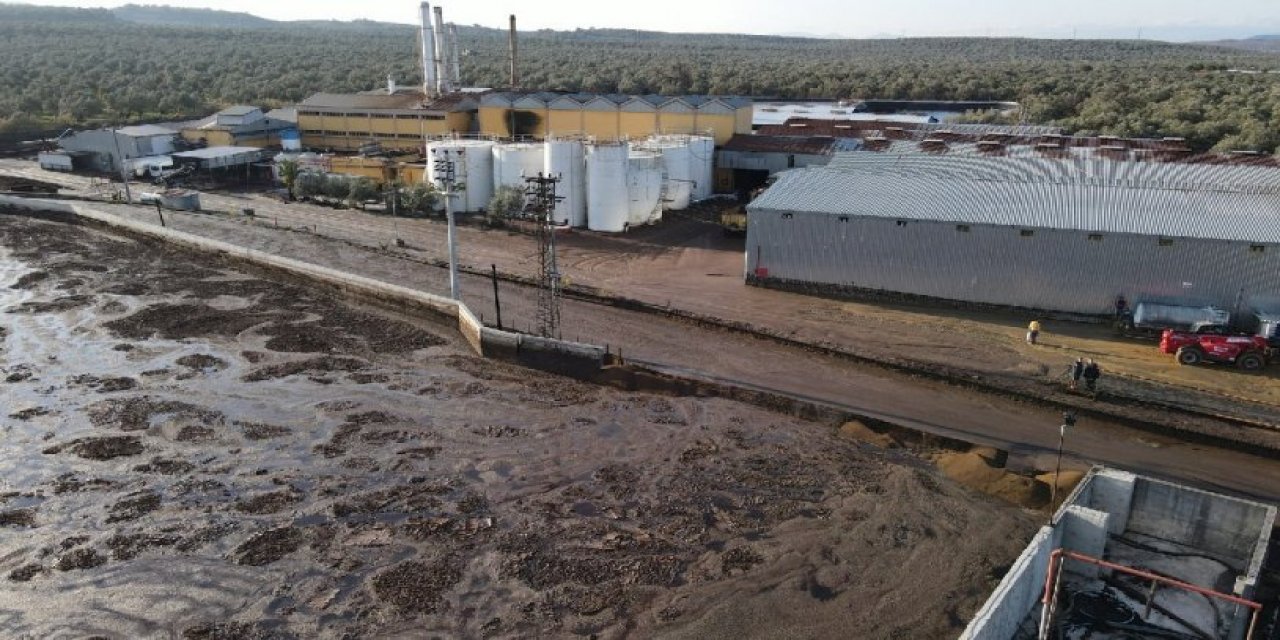 Bu kaçıncı felaket? Ayvalık’ta çevre katliamı... Atık havuzu yıkıldı, tonlarca atık yayıldı!