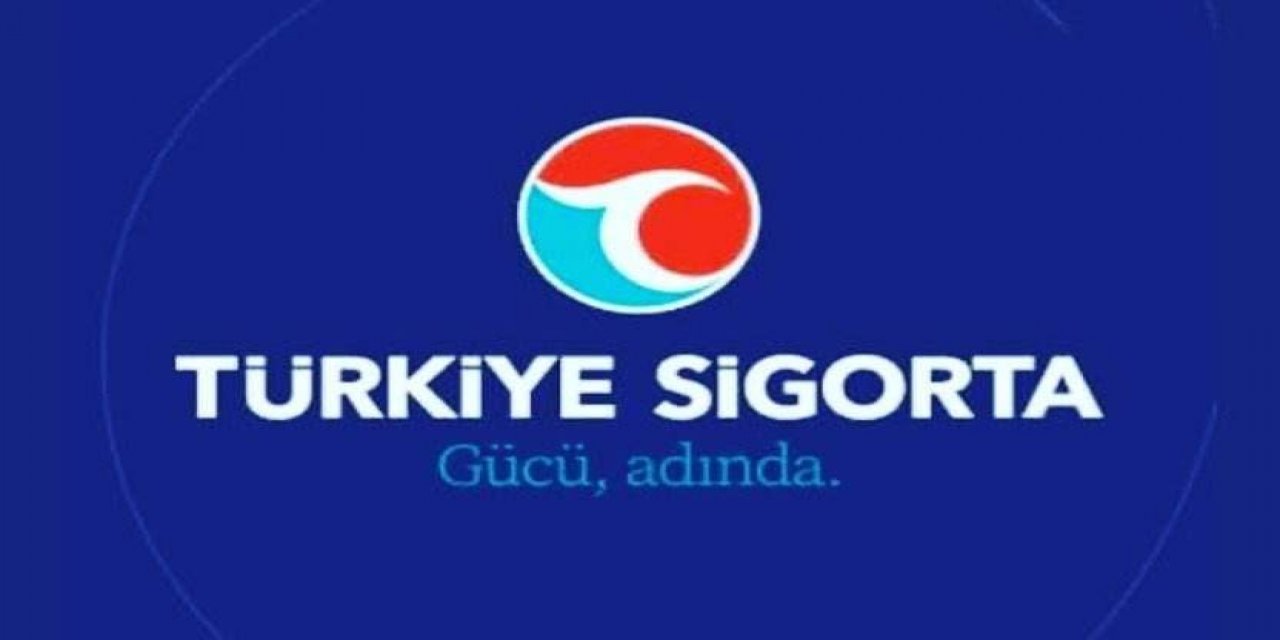Berat Albayrak tasfiyesi... Kamuya ait sigorta şirketlerinde değişim