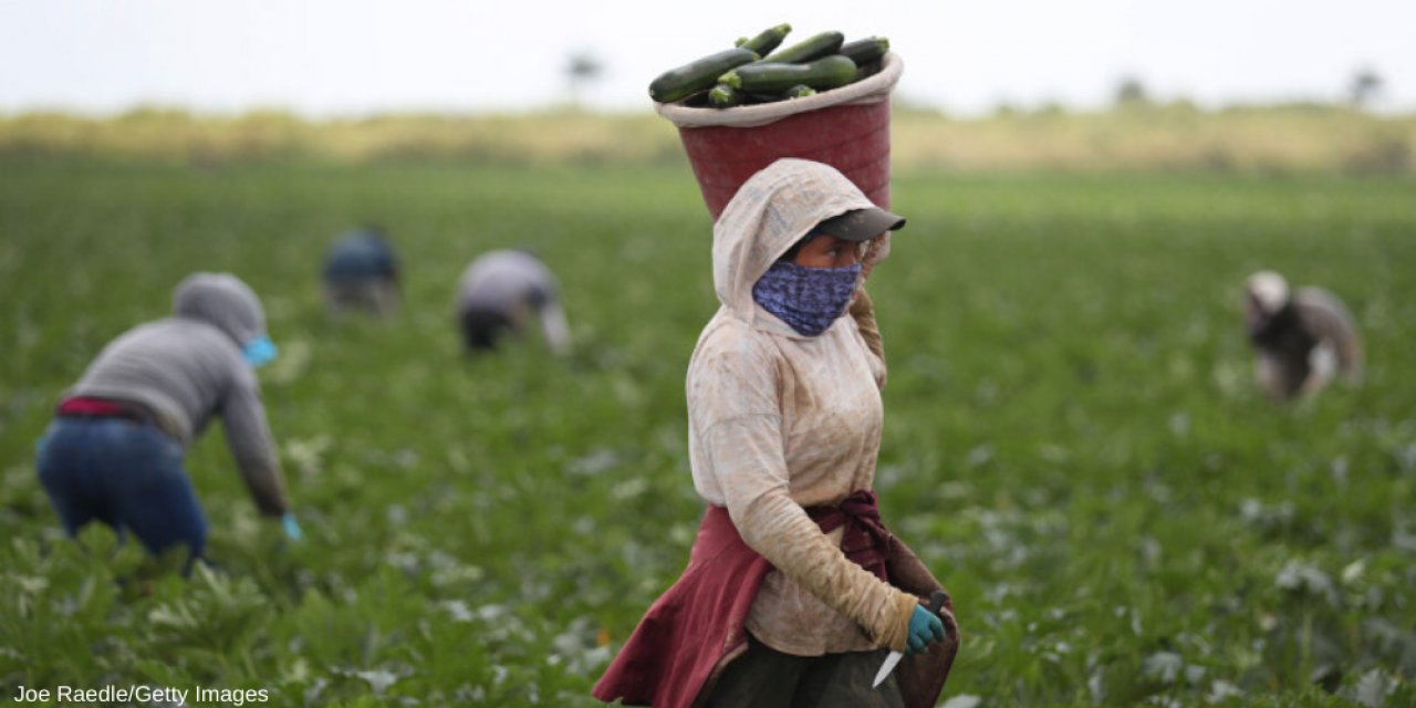 Türkiye Tarım Kredi Kooperatifleri Genel Müdürlüğü, haciz işlemleri ve icra takiplerinin üç ay  ertelendiğini duyurdu.