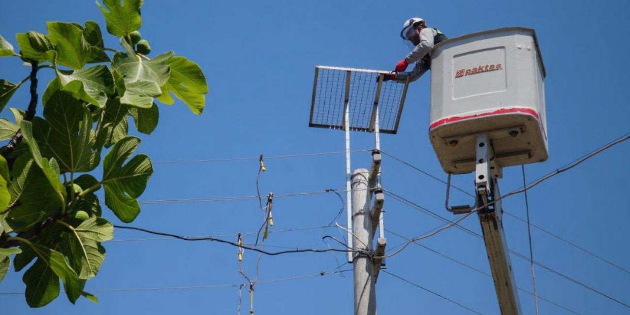Elektrik direklerindeki 'Leyleklere Yeni Yuva' projesine 'Platin' ödülü 