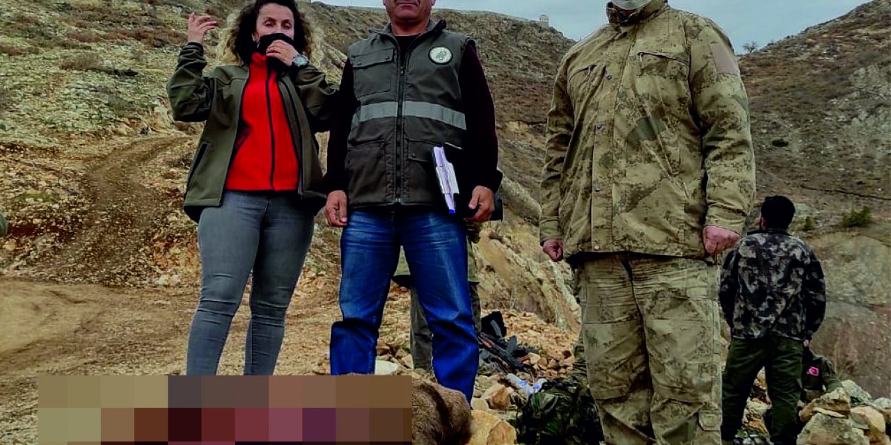 Koruma altındaki yaban keçisi avına 30 bin lira ceza