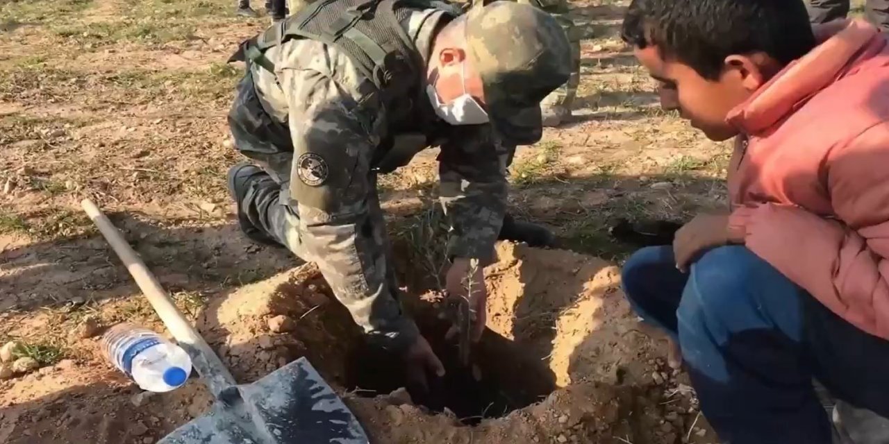 Barış Pınarı bölgesine şehitlerin anısına 525 fidan dikildi