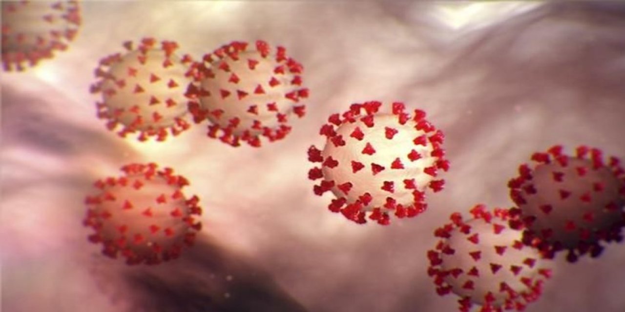 DSÖ mutasyona uğramış koronavirüs hakkında açıklama yaptı