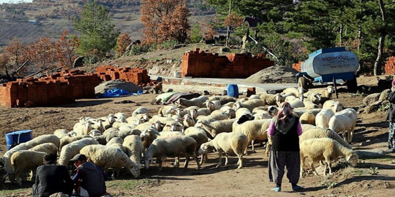 "Bakanlık yardım etti" denmişti ama... Gerçek ortaya çıktı! Yardımı yapan meğer...