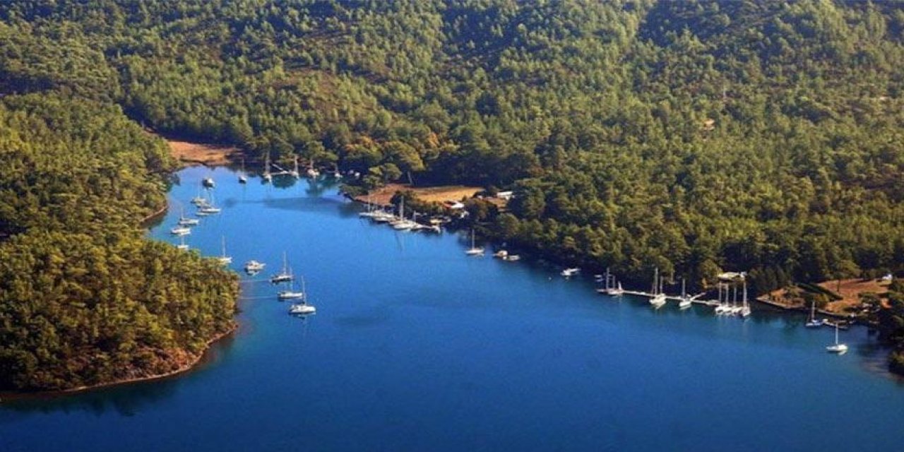 CHP'li Başkan Gürün, belediyelerin yetkilerini kıstılar elime sopa alıp çıkamam Gökova Körfezi'ni parsel parsel satacaklar