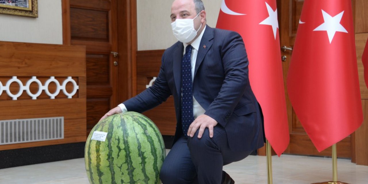 Bakan Varank: Diyarbakır'ın gündemi terör değil, istihdamdır, üretimdir, eğitimdir