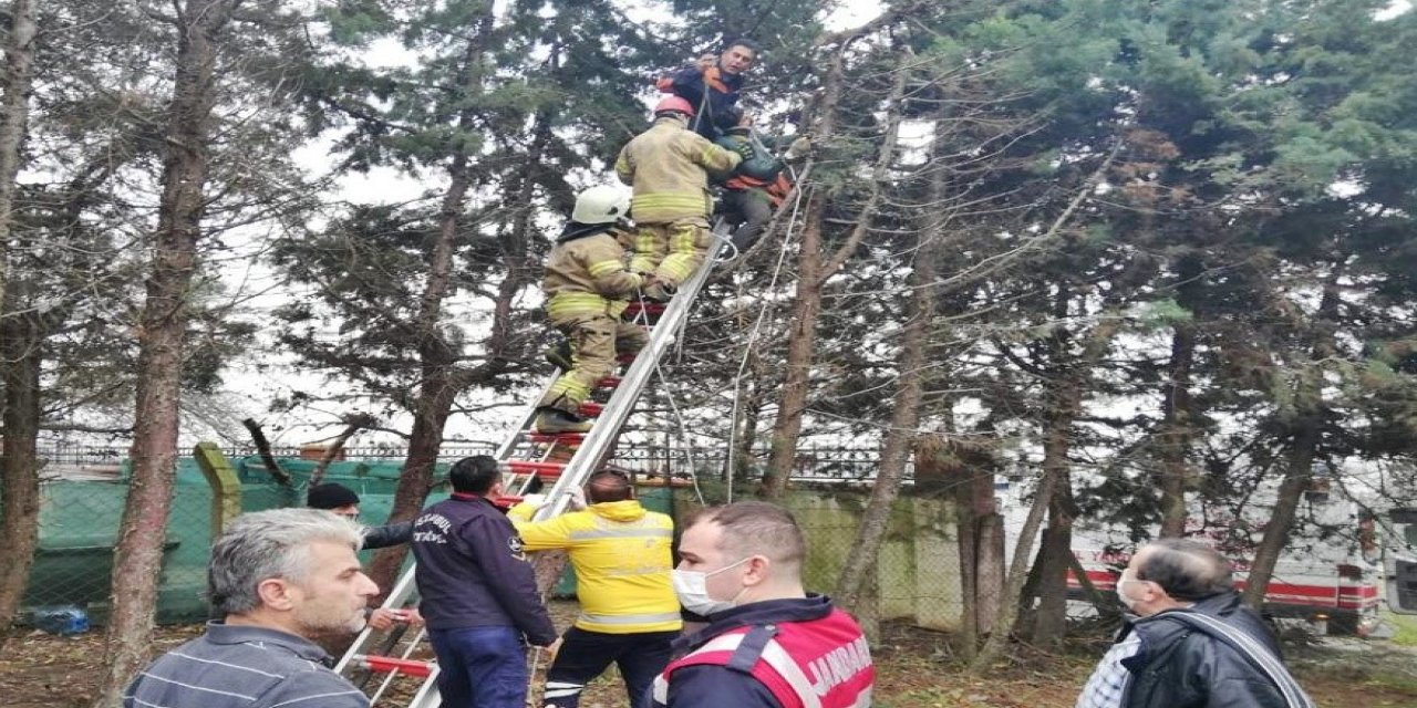 Silivri'de ağaç budarken elektrik akımına kapılan kişi ağır yaralandı