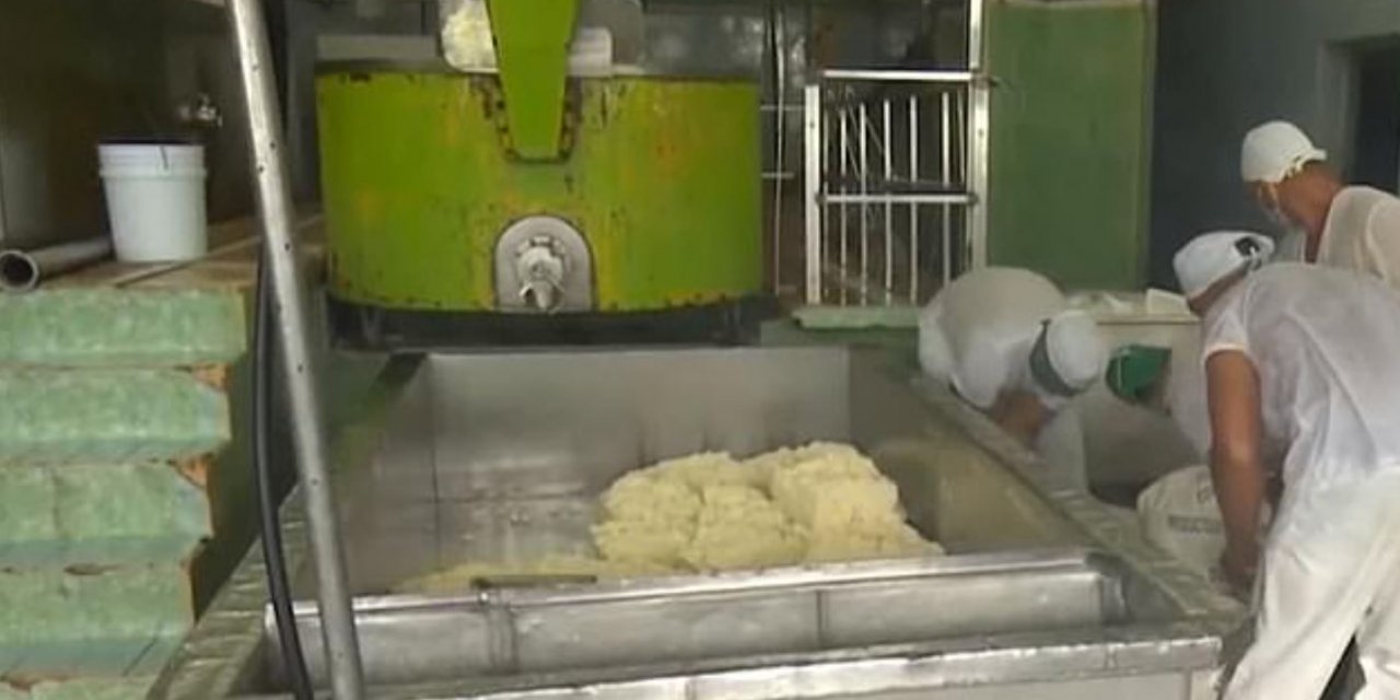 Küba’da devlete ait fabrikadan 1300 kilo peynir çalan işçilere gözaltı