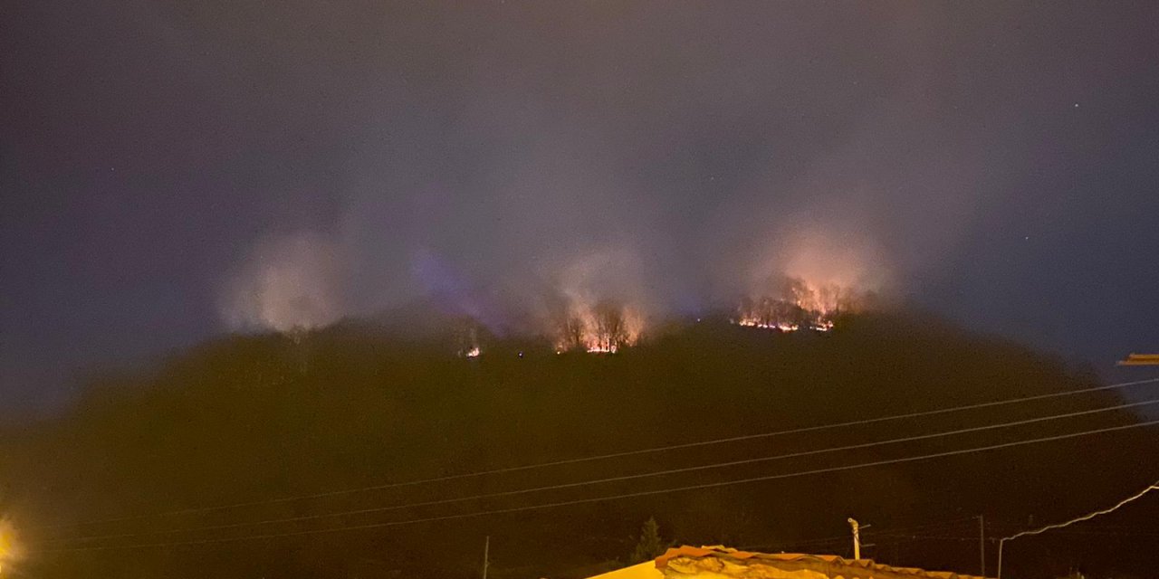 Ordu'da ormanlık alanda yangın