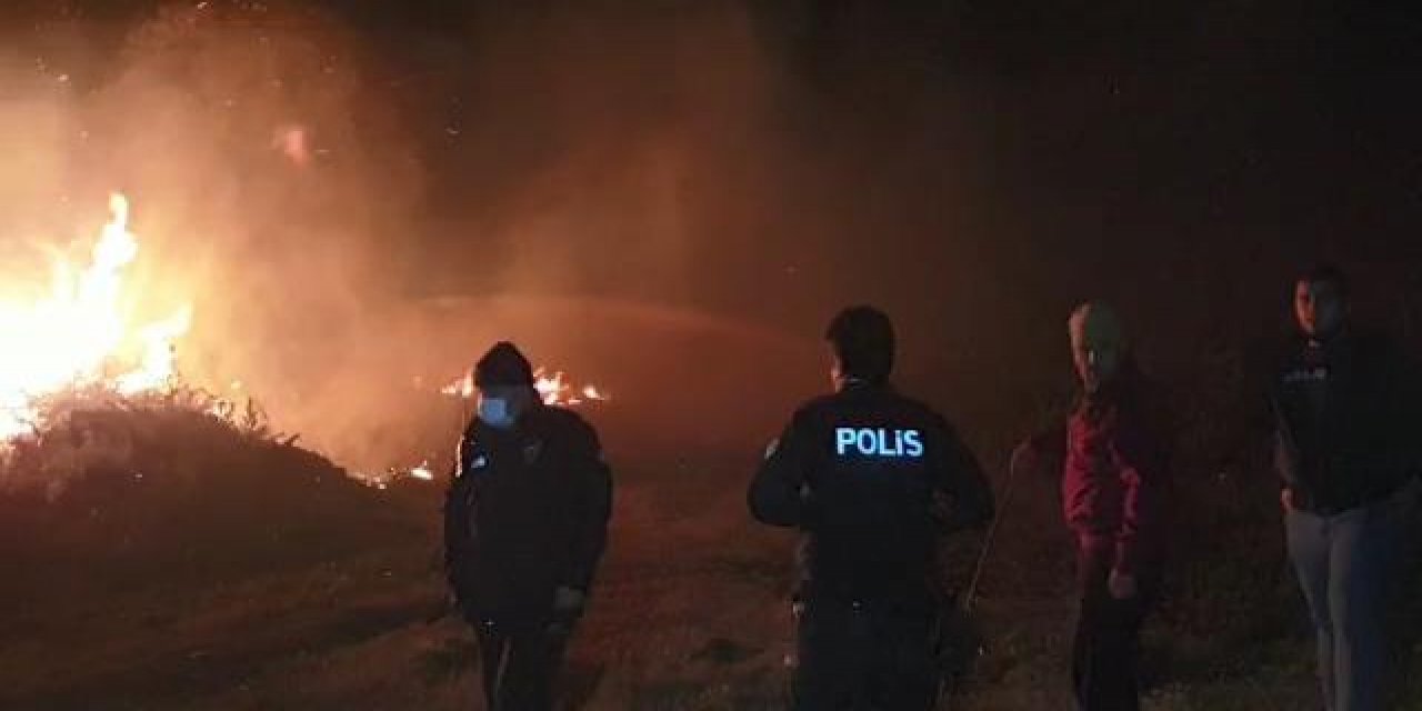 İznik'te sazlık alanda yangın