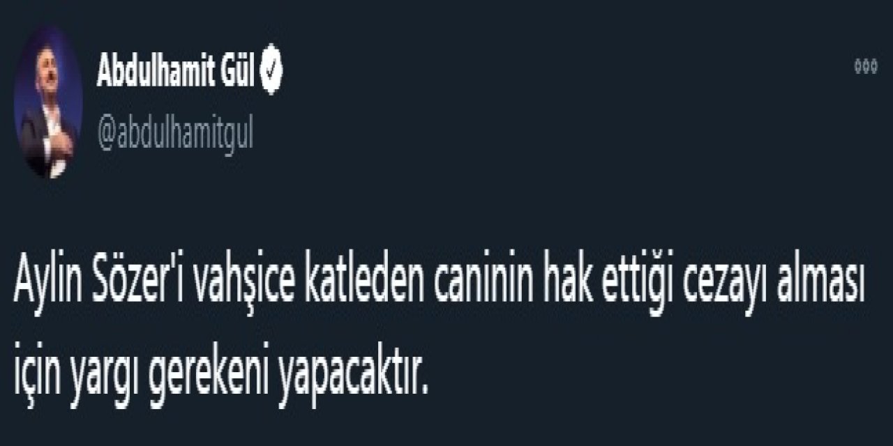 Bakan Gül: Aylin'i katleden caninin hak ettiği cezayı alması için gereken yapılacaktır