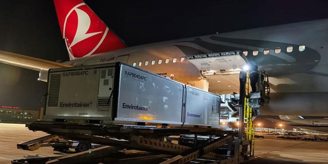 Ve Çin aşısı Türkiye'ye geldi!
