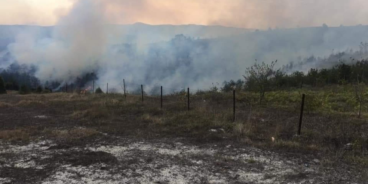 Kandıra'da orman yangını  söndürüldü.