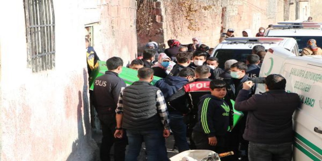 Kovadaki közden sızan gazdan zehirlenen 2 genç öldü