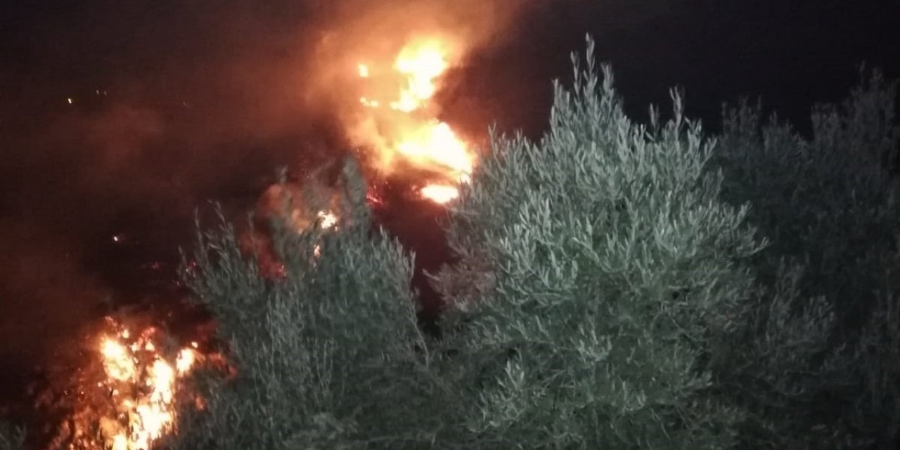 Hatay'da zeytinlik yangını