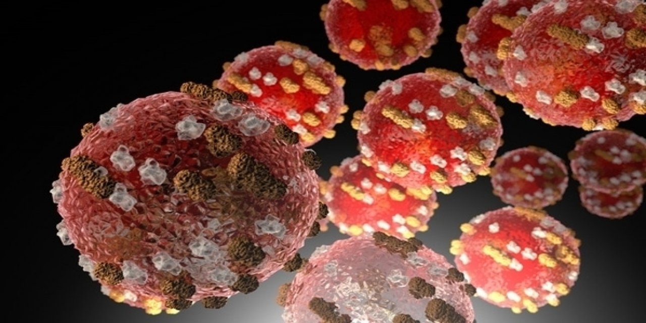 Fahrettin Koca'dan korkutan haber: Mutasyonlu virüs Türkiye'de!