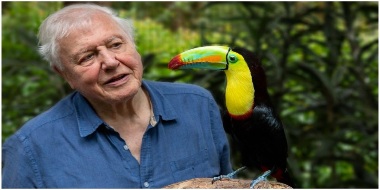 94 yaşında Instagram rekoru kıran David Attenborough Guinness Rekorlar Kitabı'na girdi.