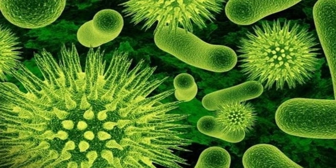 Ebola salgınını keşfeden uzmandan kritik uyarı: Covid-19 kadar hızlı yayılabilir