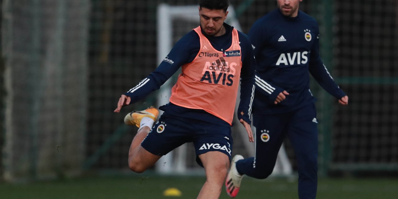 Fenerbahçe'de Ozan ve Gustavo negatif, Tolga sakat