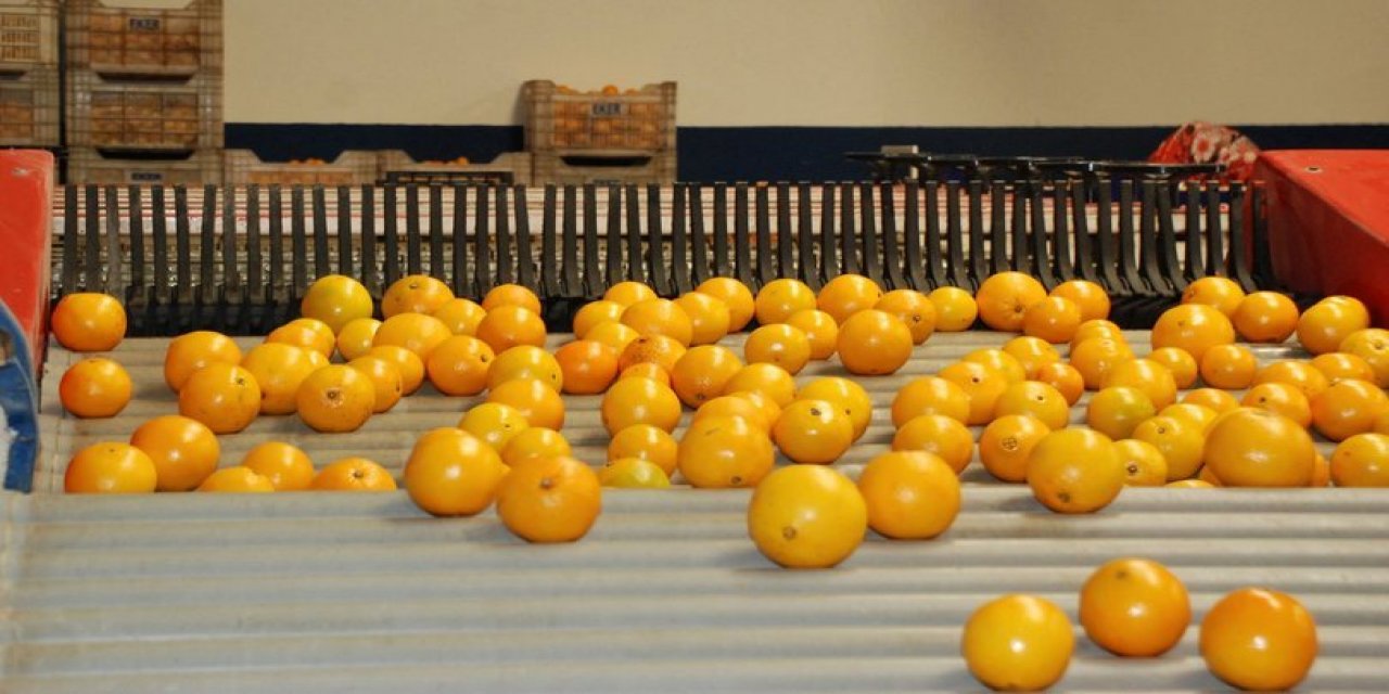 İçeride enflasyon düşük çıksın derken, dışarıda portakal pazarını kaybedebiliriz: CHP'li  Aydın Özer;  “Türkiye, kendi ürününe tarife dışı engel koyuyor.
