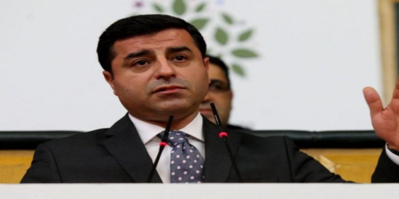 Selahattin Demirtaş'ın yargılandığı 'Erdoğan'a hakaret' davasında 'AİHM' talepte bulundu