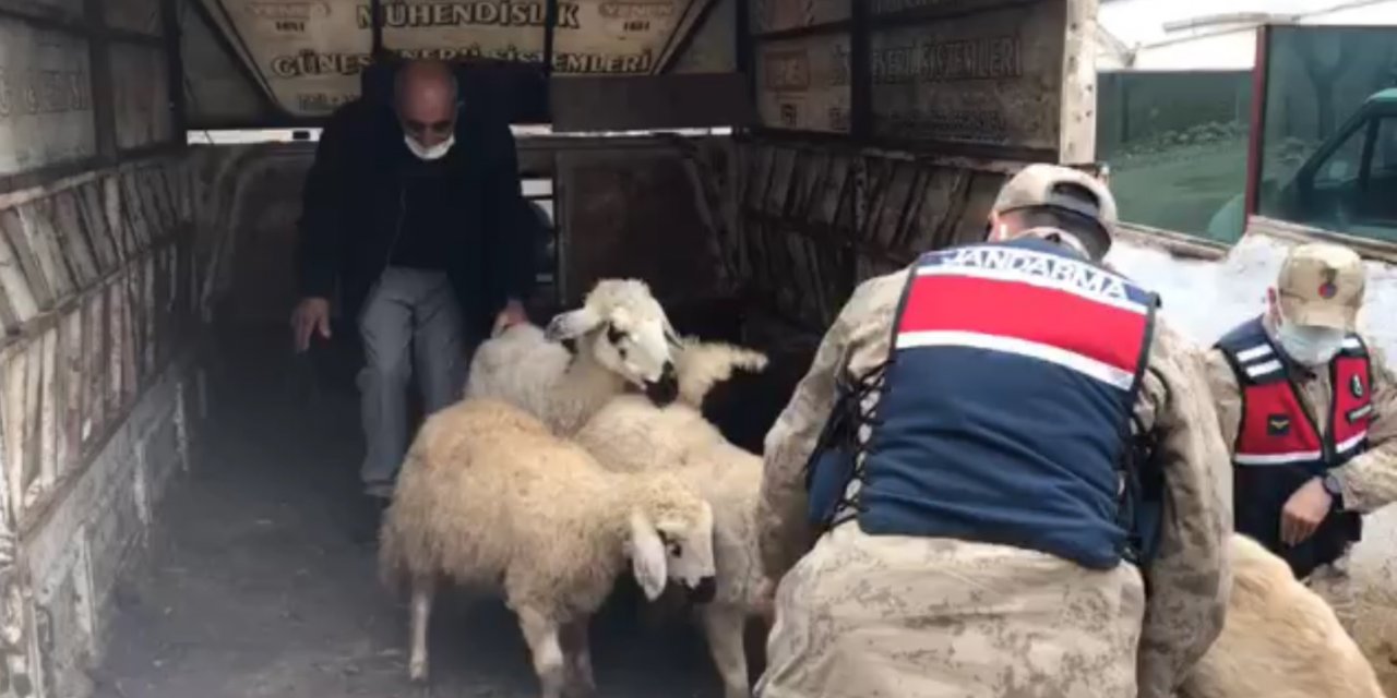 Malatya'da 18 küçükbaş hayvanı çalıp, satan 3 kişi yakalandı
