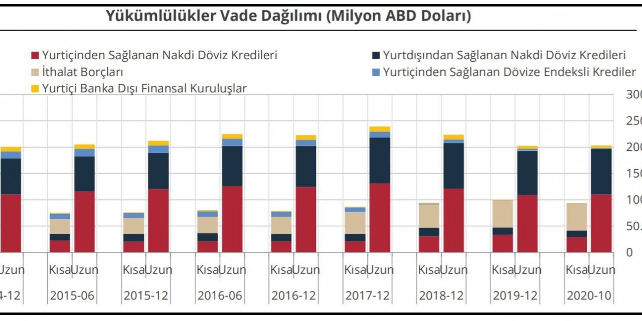 TCMB Finansal kesim dışının döviz açığı 157 milyar dolar