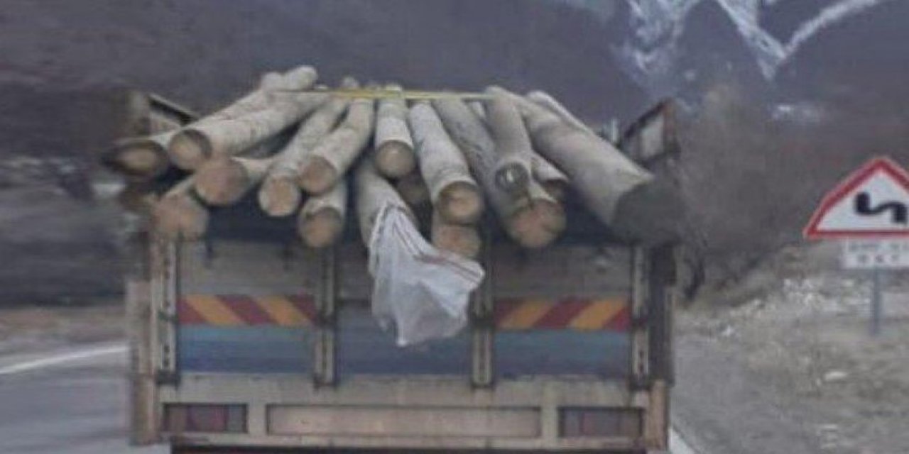 CHP'li Hüseyin Aygün'ün Twitter'dan paylaştı: “AKP İLÇE BAŞKANI 15 ELEKTİRİK DİREĞİNİ VE KESTİĞİ ODUNLARI SATMAYA GİDERKEN İHBAR EDİLMİŞ”