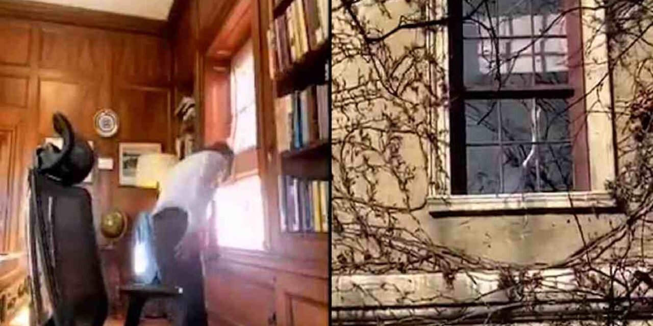 Melih Bulu "Kayyum rektör istemiyoruz" diyen öğrencileri selamladı, öğrenciler yuhalayarak karşılık verdi! İşte o anlar...