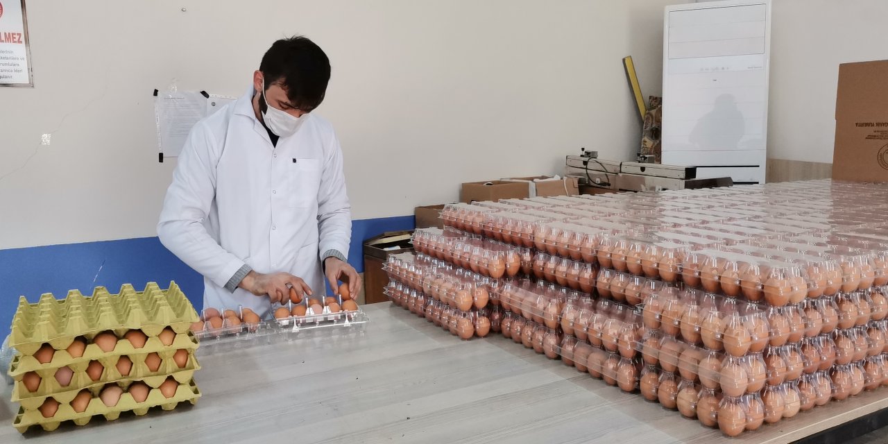 Pandemide yumurtaya talep yüzde 100 arttı